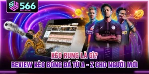 Kèo Rung Là Gì? Review Kèo Bóng Đá Từ A - Z Cho Người Mới